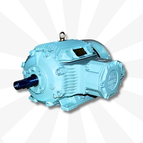 Kutti and Kasi – The Motor People, You Can Trust - Kutti Kasi