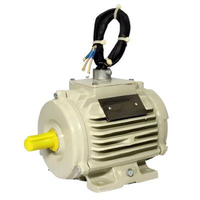 Smoke Extraction Motor (IE2, IE3) - Kutti Kasi