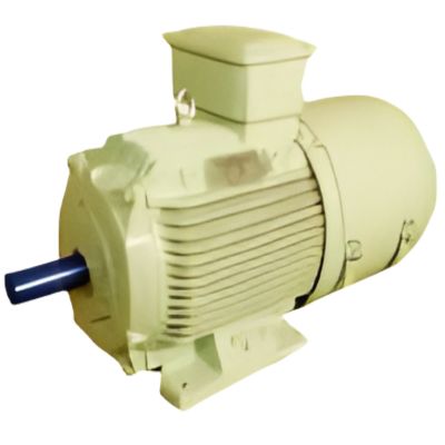 Crane Duty Motors (Squirrel Cage) - Kutti Kasi