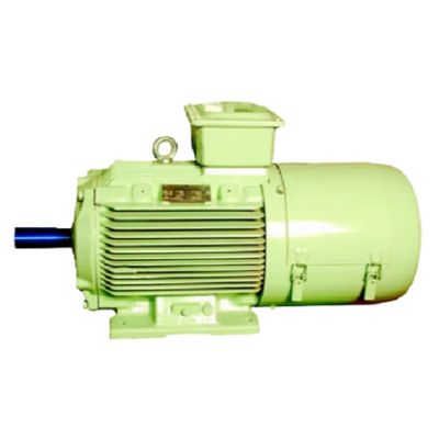 Slipping Motors (TEFC) - Kutti Kasi